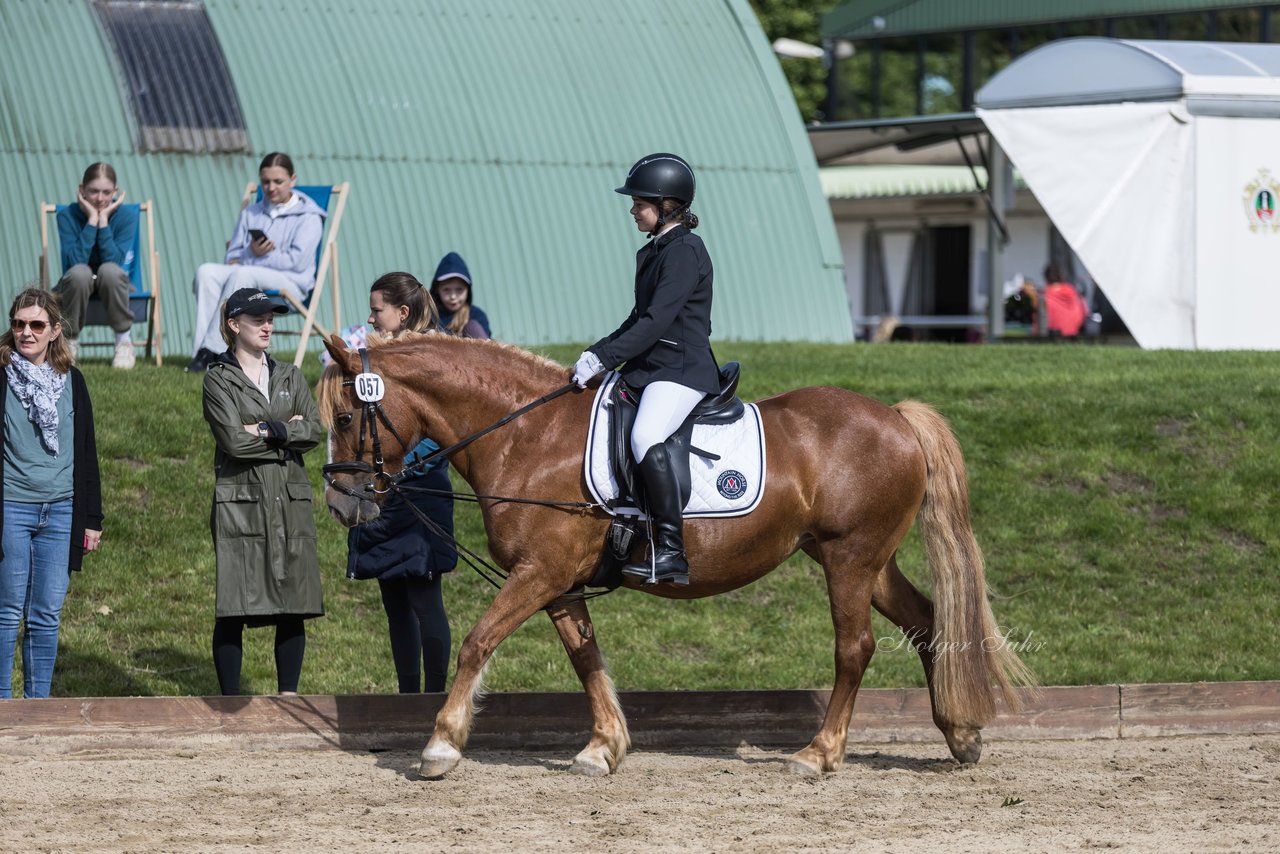 Bild 11 - Pony Akademie Turnier